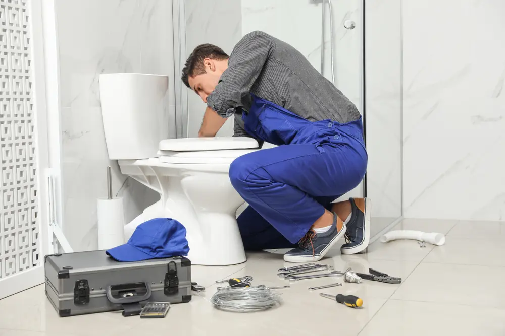 Toilet Repair in Harmon